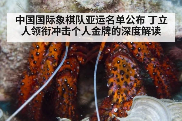 中国国际象棋队亚运名单公布 丁立人领衔冲击个人金牌的深度解读